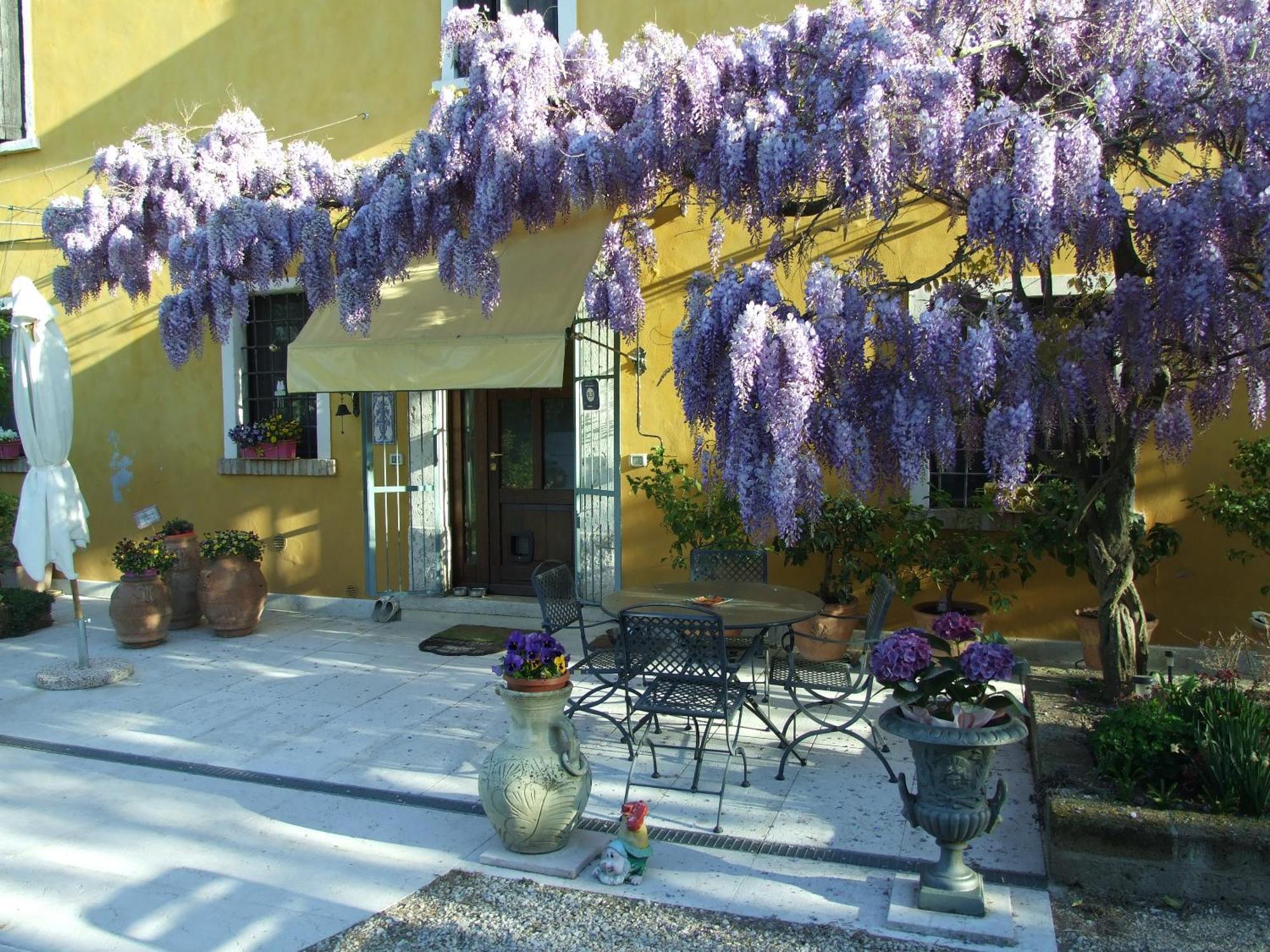 B&B Casacasina Monzambano Ngoại thất bức ảnh